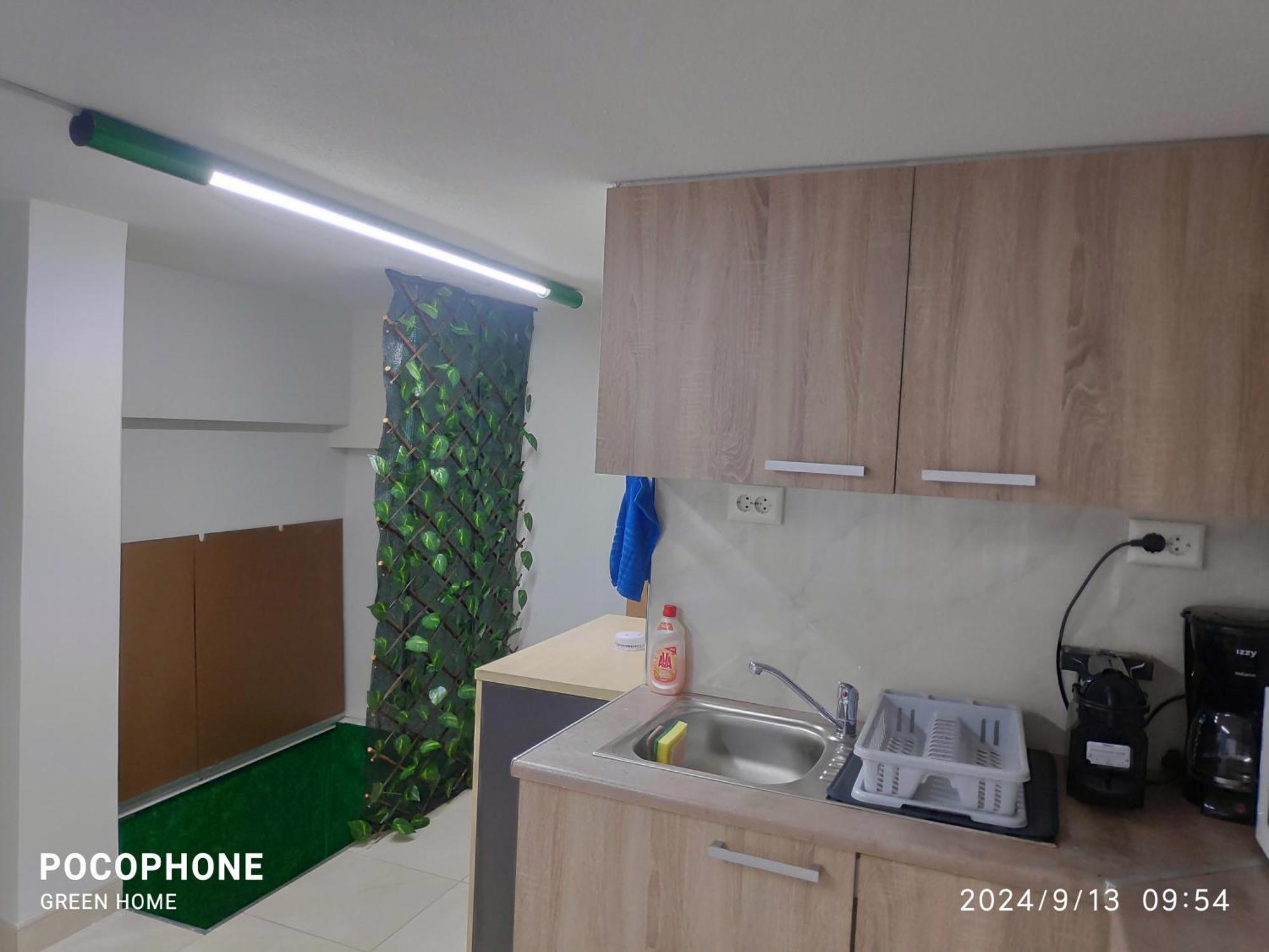 Green Home Αθήνα Εξωτερικό φωτογραφία