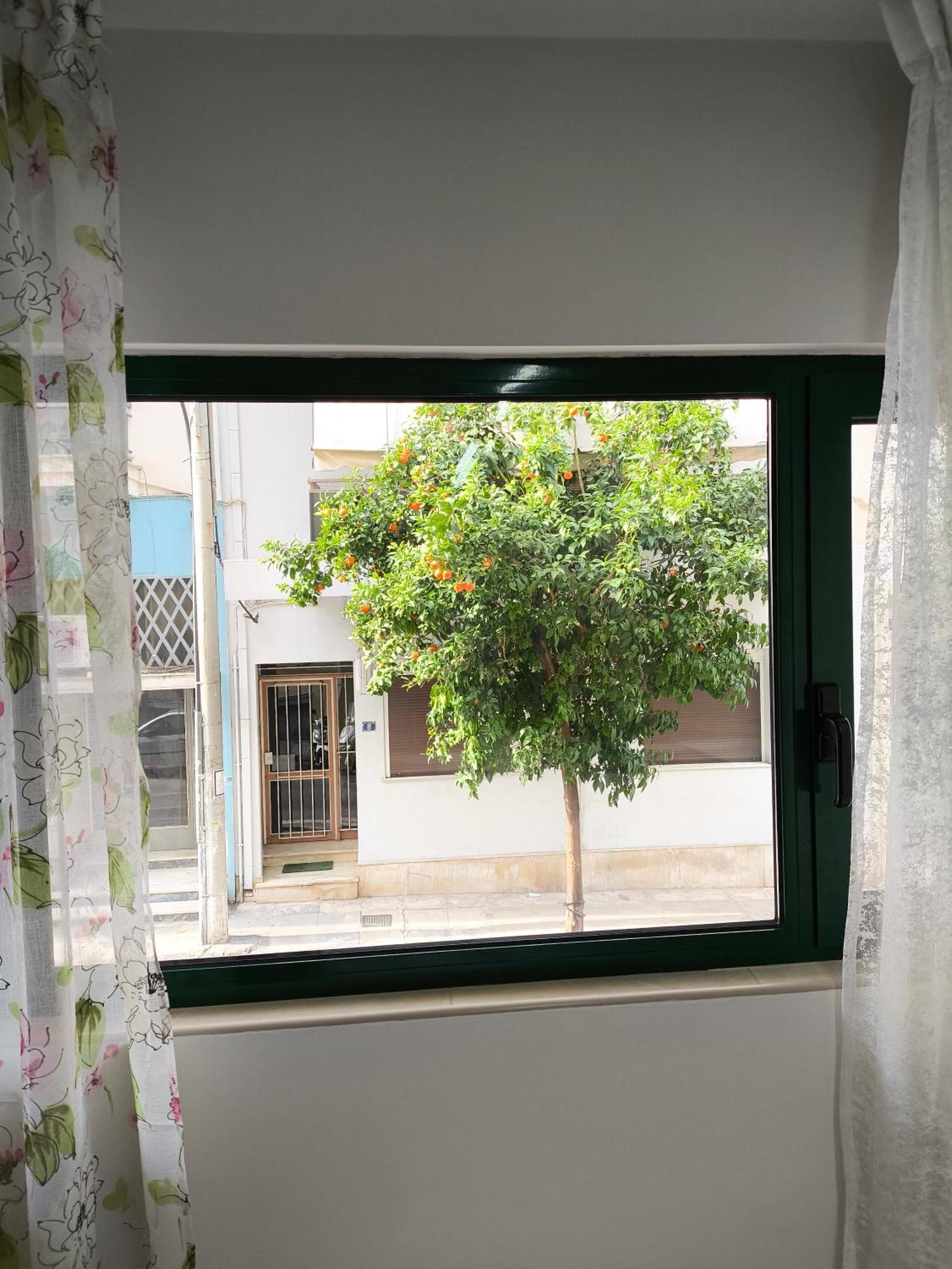 Green Home Αθήνα Εξωτερικό φωτογραφία